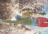 国际短道速滑训练营学员康复档案全国接入完成报道，2021年国际短道速滑赛事